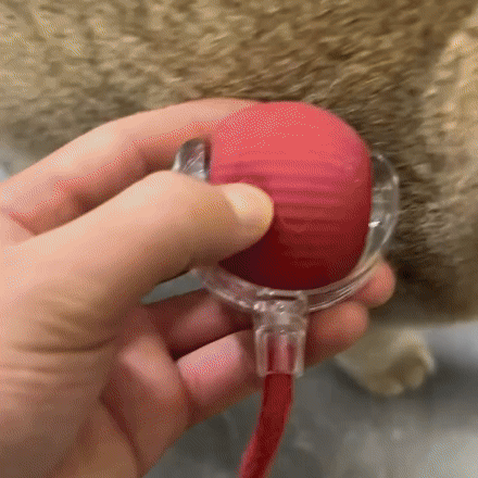 Pelota Interactiva con Cuerdita para Gatos